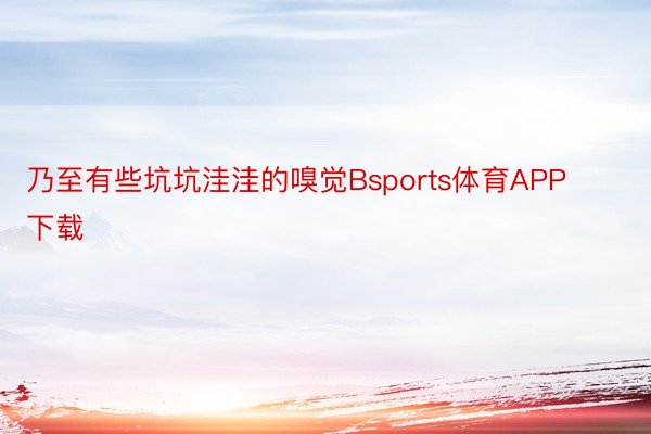 乃至有些坑坑洼洼的嗅觉Bsports体育APP下载