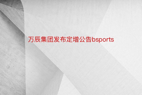 万辰集团发布定增公告bsports